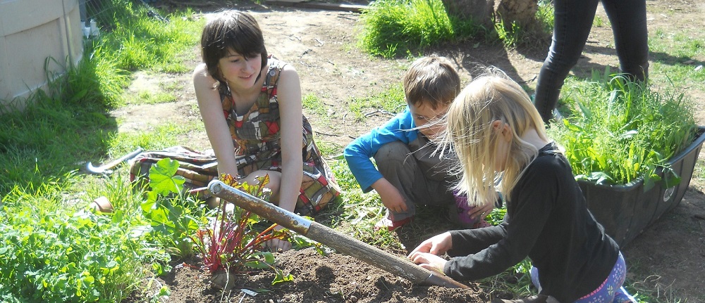 gardening